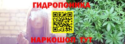 твердый Гусев