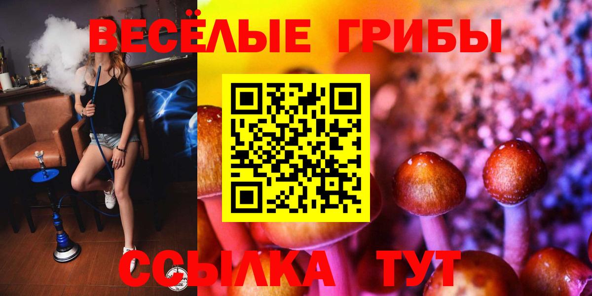 Зеленокумск  Псилоцибиновые грибы MAGIC MUSHROOMS  Вход с VPN 